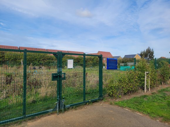 Rowell Way allotments