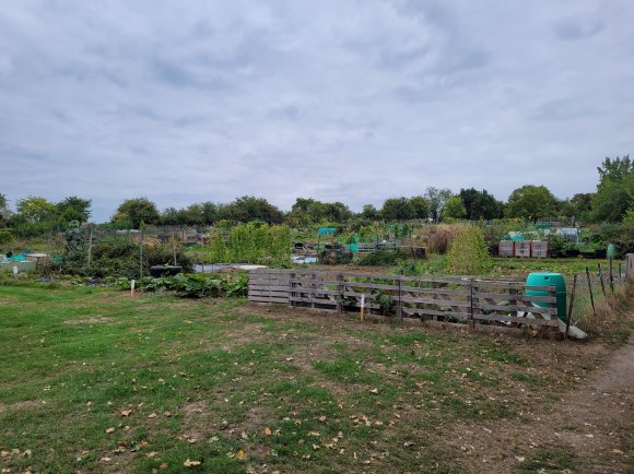 Allotment plots