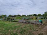 Image: Allotment plots