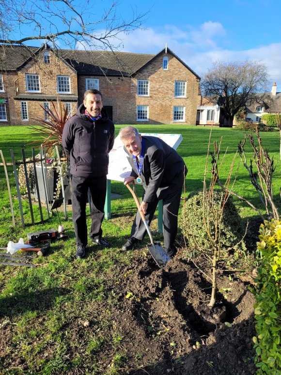 Planting the Queen's Canopy