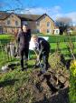 Image: Planting the Queen's Canopy